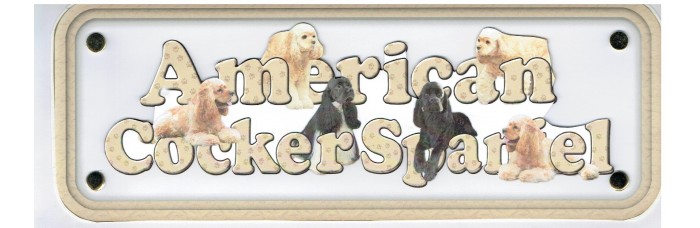 American Cocker Spaniel